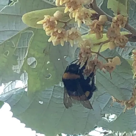 Casale Nella Valle Pieve Torina