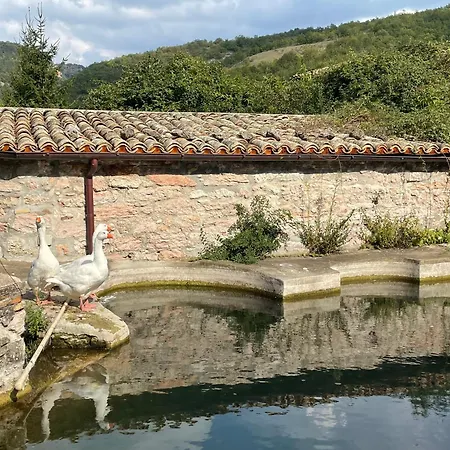 Casale Nella Valle *