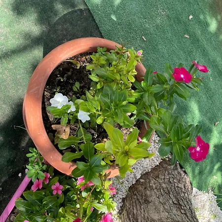 Casale Nella Valle *