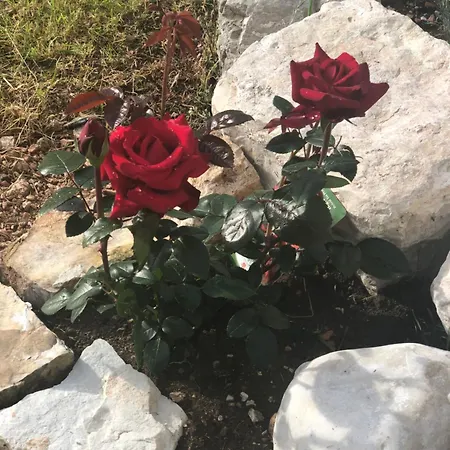 Casale Nella Valle Pieve Torina