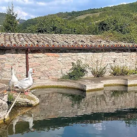 Bed & Breakfast Casale Nella Valle